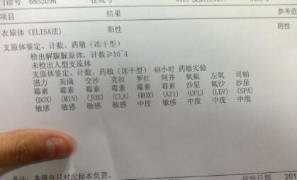 孕前为什么检查支原体衣原体