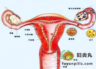 输卵管阻塞不孕怎么办