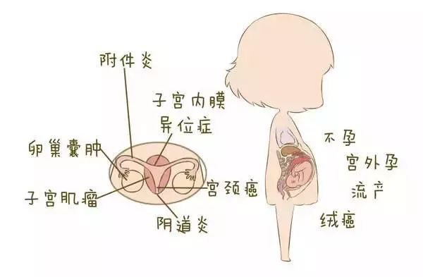 子宫内膜增厚