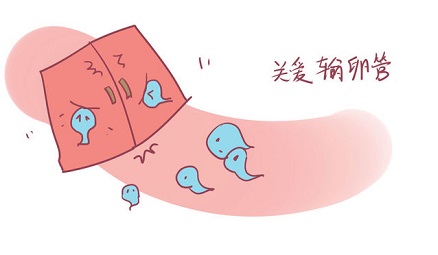 输卵管堵塞了吃药有用吗？需要手术治疗吗？
