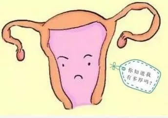 中医治疗子宫内膜增生之灌肠疗法