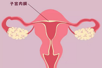 子宫内膜太厚吃什么能变薄
