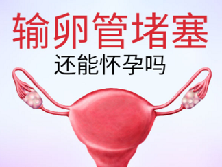 图片1421