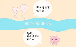 输卵管积水多少mm算严重