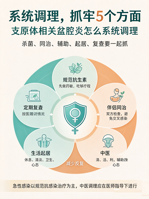 支原体感染引起的盆腔炎该怎么系统调理?抗生素、伴侣同治、中医与生活起居5个方面一次说清