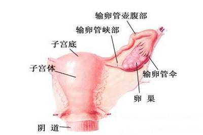 输卵管炎的护理