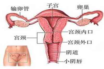 阴道炎的预防措施