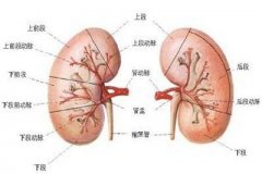 尿毒症准妈妈 为了宝宝创造奇迹平安生产