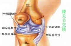 膝盖疼痛  警惕膝关节交锁