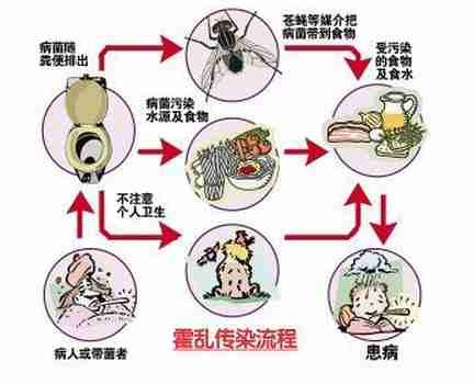 霍乱
