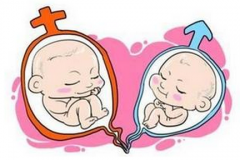 常年不孕无法当妈 竟是双子宫惹祸
