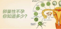 卵巢功能不好影响生育吗？有哪些症状表现