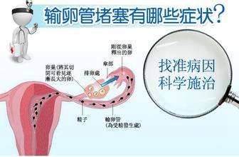 输卵管堵塞是由什么引起的