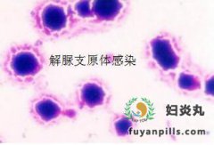 女性诊断解脲支原体如何治疗
