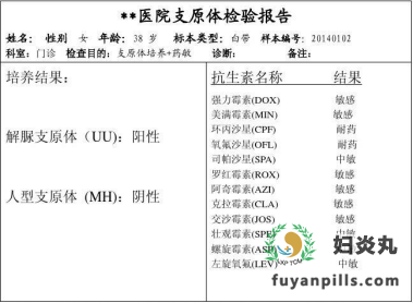 支原体报告单怎么看