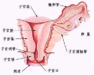 输卵管积水