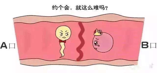 输卵管堵塞