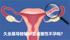 久坐易导致输卵管堵塞性不孕吗